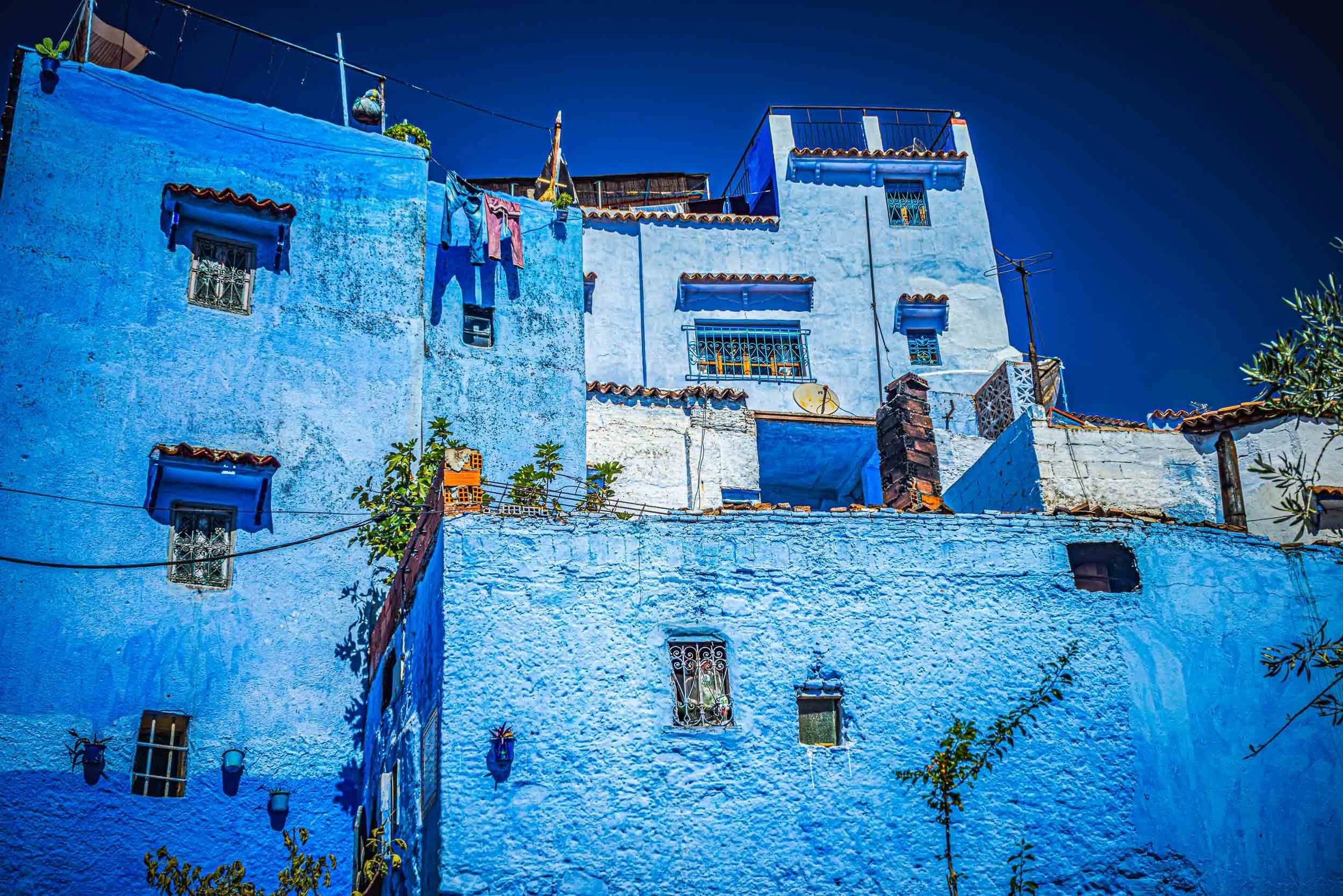 The Refuge of Blue