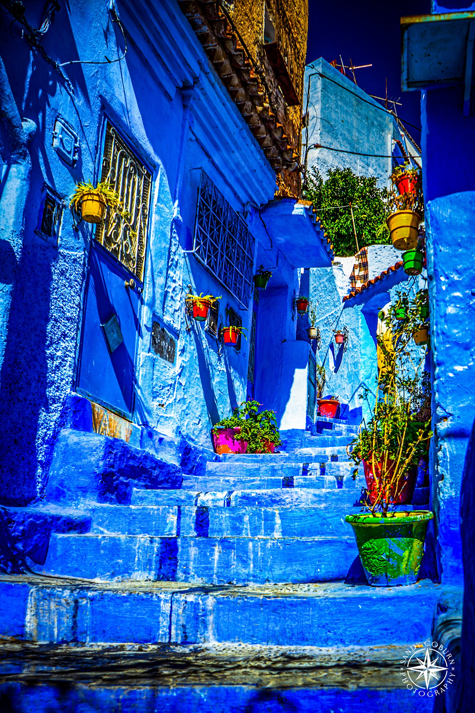 Steps of Light