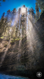Dramatic sun rays shine through a dense forest of evergreen trees in Banff National Park, casting golden light beams across t