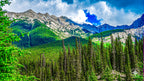 A dense forest of emerald-green pine trees stretches toward snow-capped mountains in Banff National Park, Alberta, Canada, vi