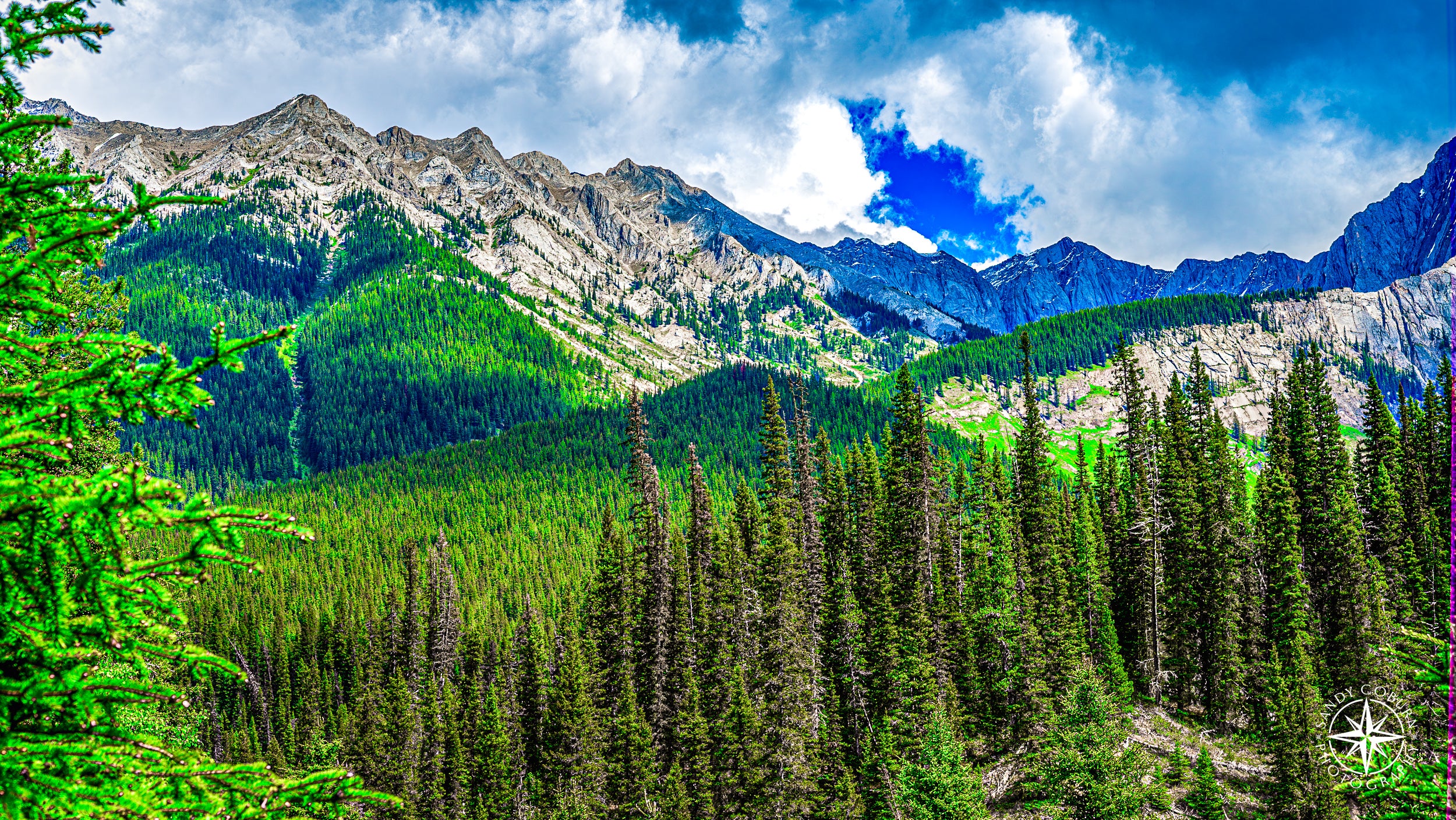 A dense forest of emerald-green pine trees stretches toward snow-capped mountains in Banff National Park, Alberta, Canada, vi