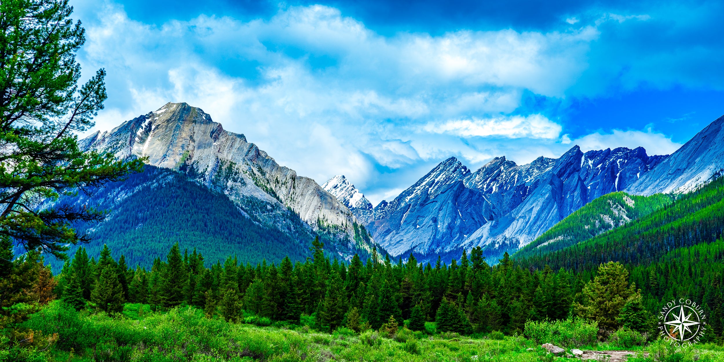 An emerald-green meadow in Banff’s Johnston Canyon contrasts with snow-capped mountains under a blue sky with puffy white c