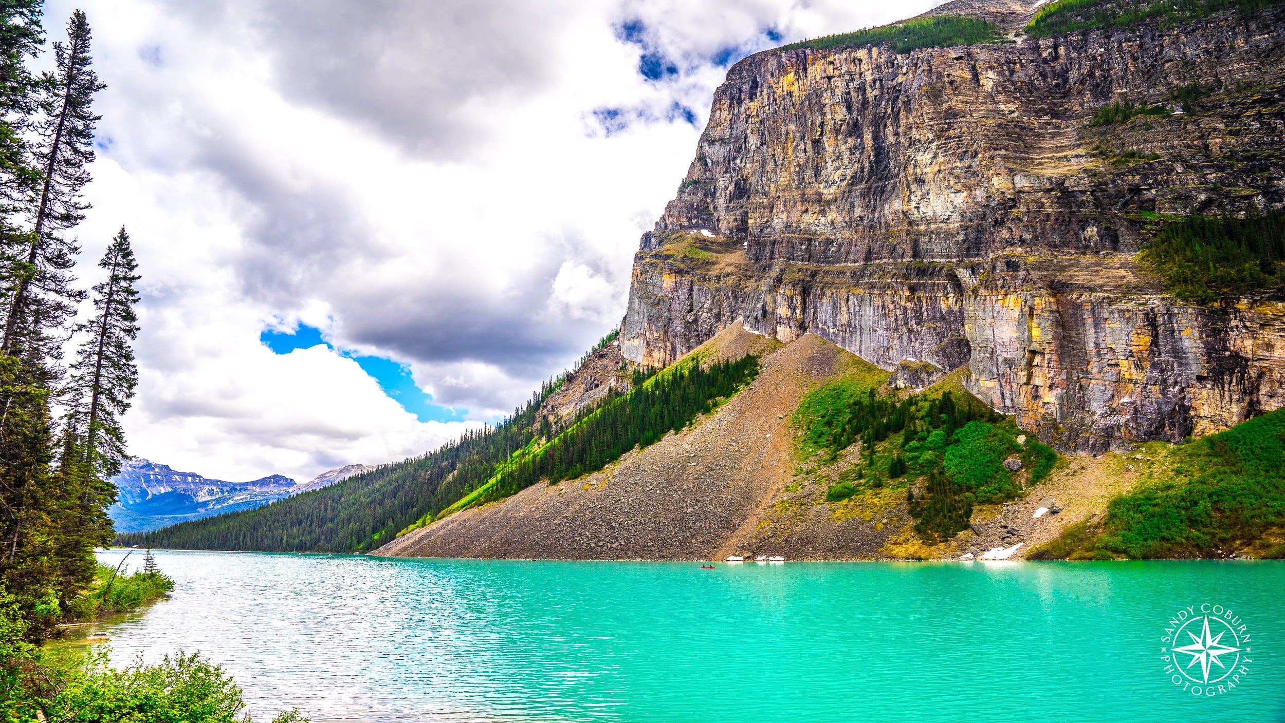A dense forest of emerald-green pine trees stretches toward snow-capped mountains in Banff National Park, Alberta, Canada, vi