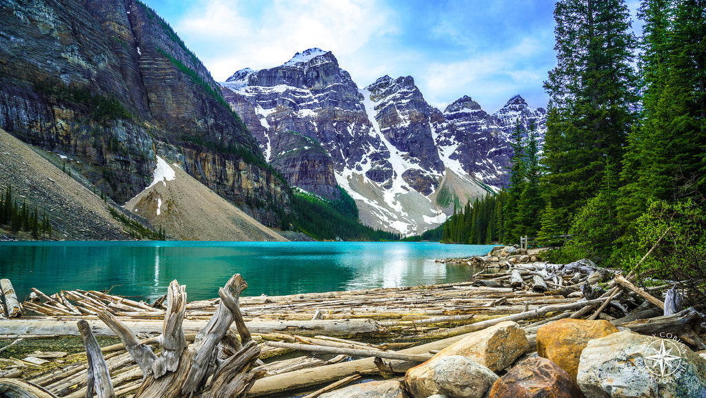 Snow-capped granite peaks tower over the dark blue-green waters of Lake Moraine, with driftwood gathered in the lower left co