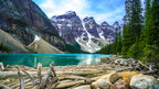 Snow-capped granite peaks tower over the dark blue-green waters of Lake Moraine, with driftwood gathered in the lower left co