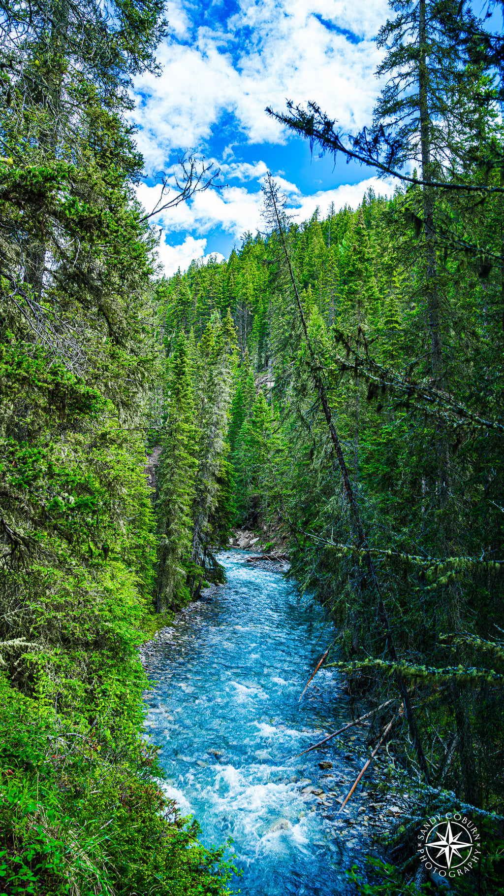 Glacial stream reflecting emerald green and deep blue hues, winding through evergreen forest beneath a bright blue sky in Ban