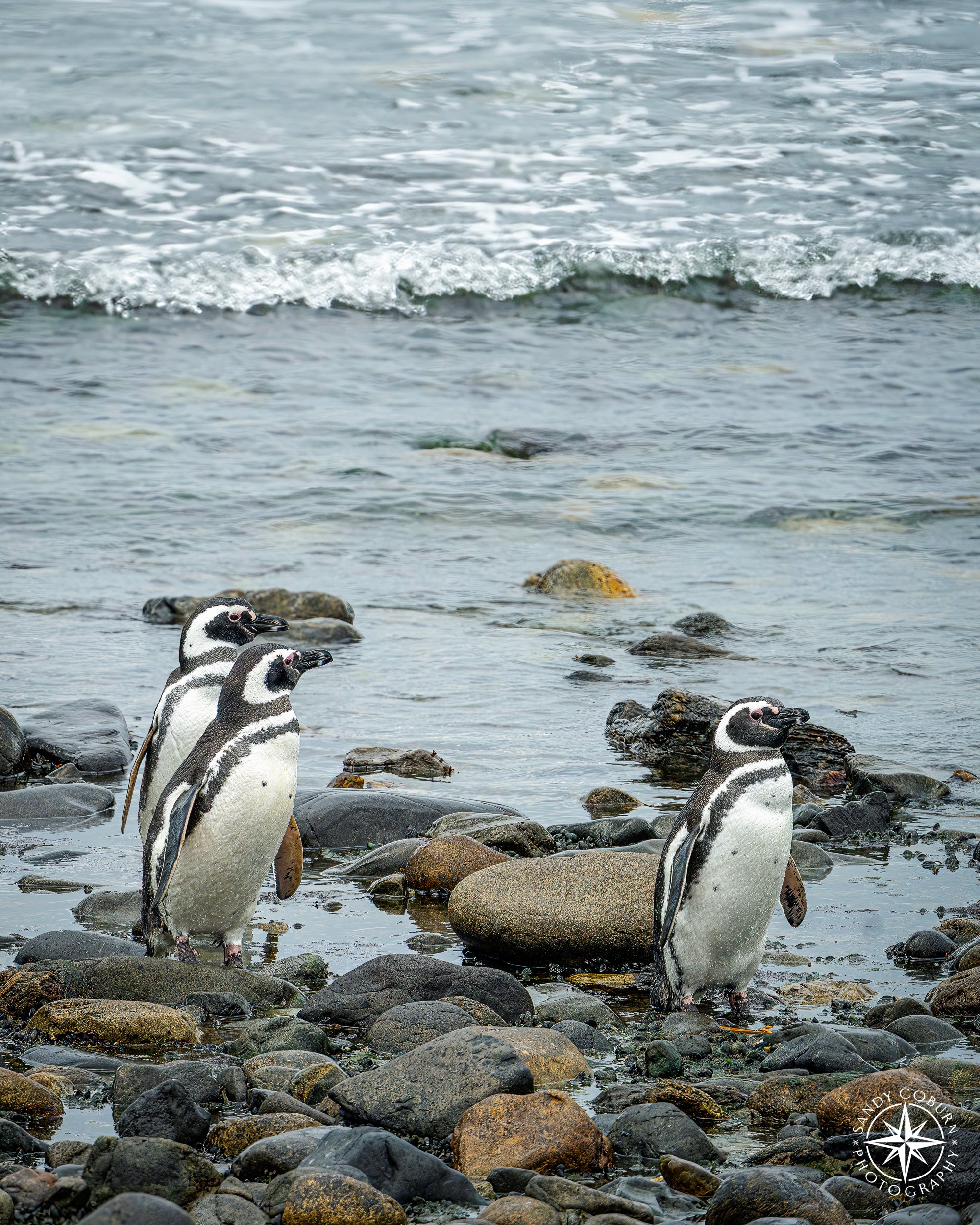Toward the Known Shore