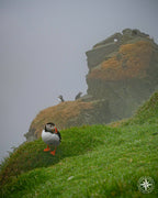 Cliffside Kin