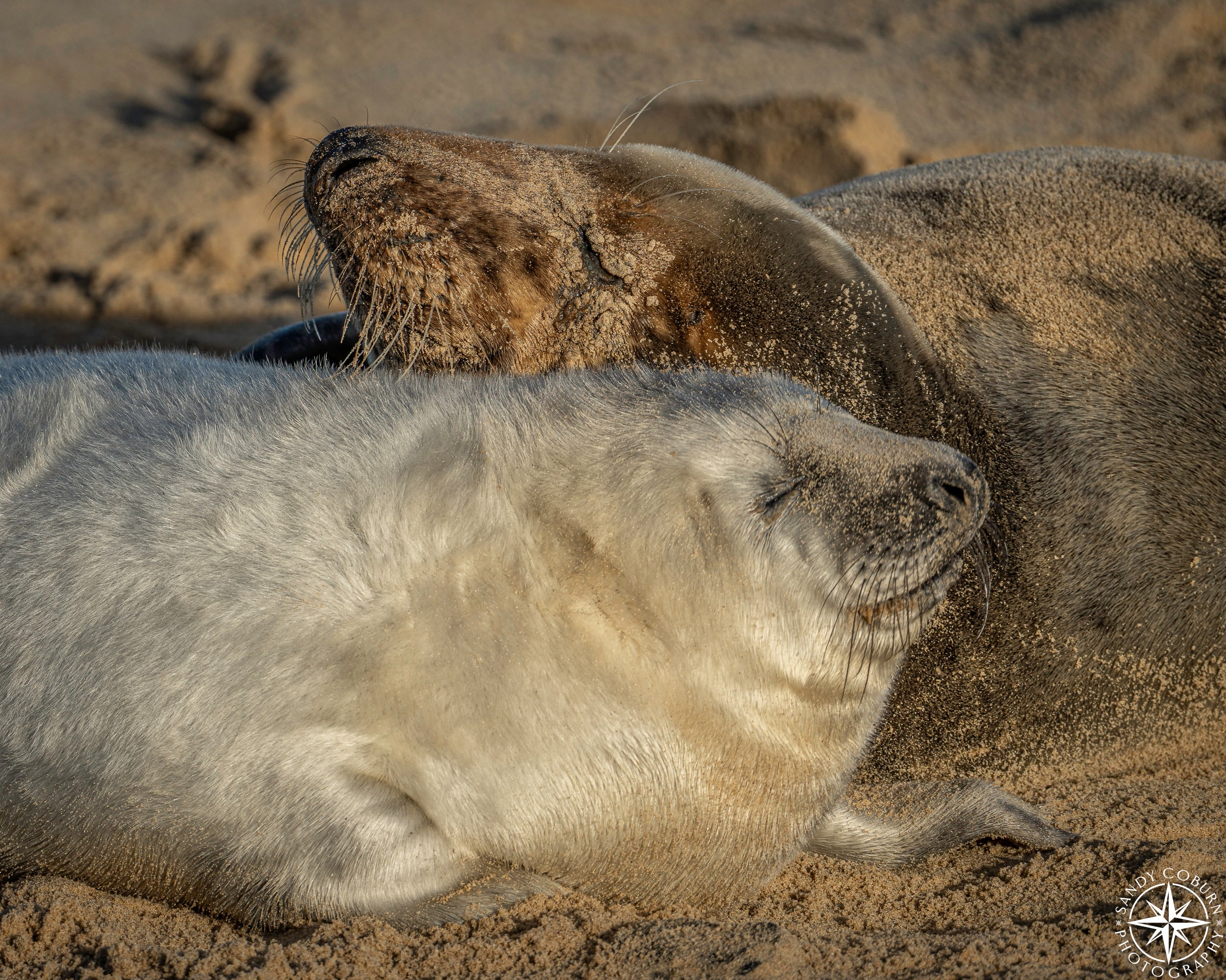 Shared Warmth