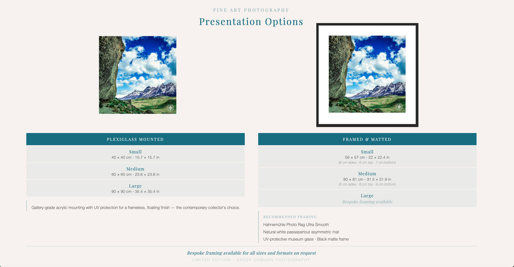 The Watcher