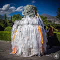 The Veiled Lion