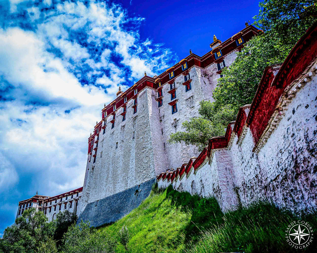 Beneath the Watchful Walls
