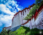Beneath the Watchful Walls